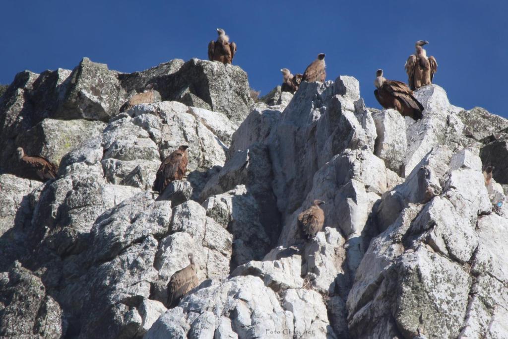 Sierra De Monfrague Torrejón el Rubio Exterior foto